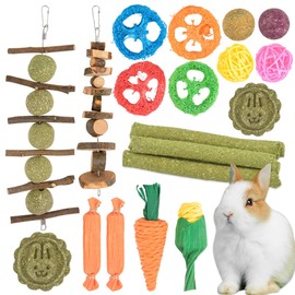 TMBMLPP 21 Pack Rabbit Toys Set, Natural Bunny Chew Toys, Rabbit Wooden Chew Toys, Small Animal Teething Toys for Teeth Care, Natural Timothy Hay Sticks, Apple Wood Sticks, for Small Animals Teething