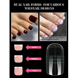 EBANKU 300 Pieces Polygel Tips Nail Shapes for Toes with Slip Solution, Long Square Dual Tips Nails for Pedicure Nail Extension, Poly Gel Toenails Set, 15 Sizes