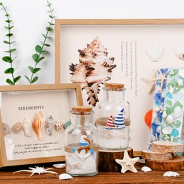 2PCS Coastal & Beach Decor Glass Bottles with Cork & White Sand Rocks and Natural Sea Shells for Coastal & Beach Room Decor, Home Tabletop & Summer Decorations, Bridal Shower Gifts