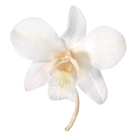 Earth Farms Brand of Preserved 8 Wheel with denfare