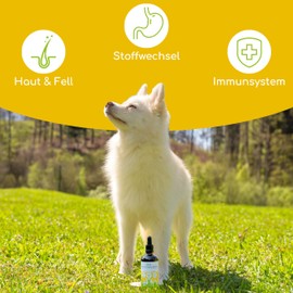 DE-ÖKO-060 Organic Evening Primrose Oil for Dogs and Cats, 100 ml Cold Pressed Fur Oil, 100% Organic from Germany - Rich in Omega 3 & 6, Barf Oil