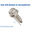 Four (4) Stainless Steel License Plate Screws (BCP253)