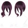 Probeauty Short Purple Anime Wig Deep Purple Wig for Women