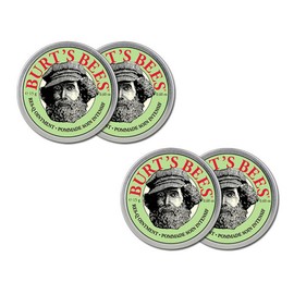 Burts Bees 버츠비 레스큐 오인트먼트 15g 4개 Burt's Bees Rescue Ointment 15g x 4