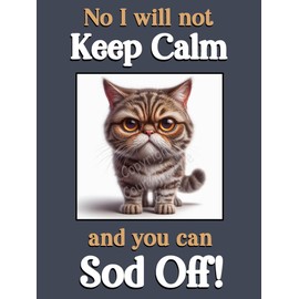 Generic Tabby Cat Kitten funny flexible fridge magnet gift