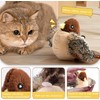 Chirping Bird Cat Toys for Indoor Cats, Flying Bird Cat