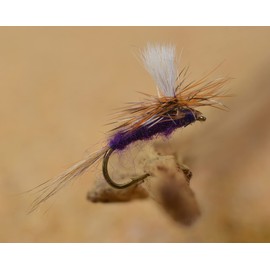 Purple Haze Dry Flies - Pack of 12 - Tied on Mustad Signature Fly Fishing Hooks (Hook #14)