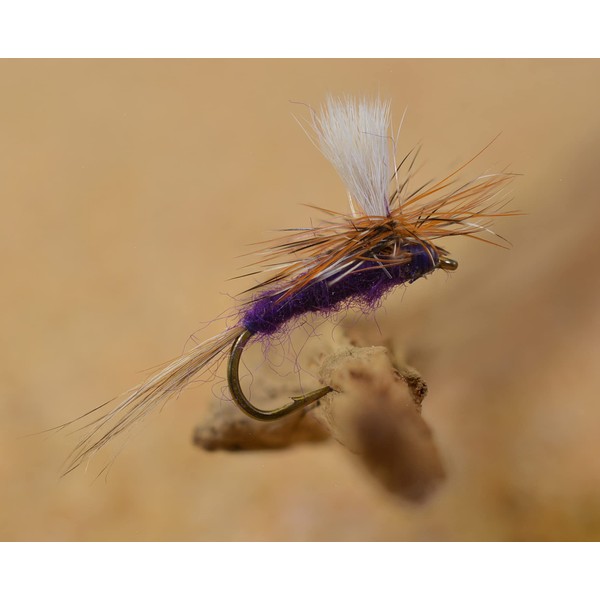 Purple Haze Dry Flies - Pack of 12 - Tied
