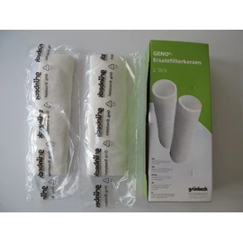 Grünbeck Replacement Filter Cartridges for FS 1 1 / 4 Inch Pack of 2 (80 µm Without Protective Dome) ***Water Filter / Protective Dome)