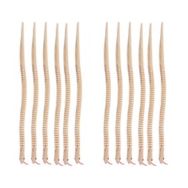 Zerodeko 12 Realistic Wooden Snakes Unfinished Wooden Snakes Empty Canvas Wooden Snakes Flexible Snake Toy Animal Model Craft Toy