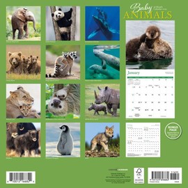 Carousel Calendars, Baby Animals 2025 Wall Calendar