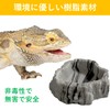 SAKIRABITO Reptile Bait Container Reptilock Reptile Food Dish Amphibian Water