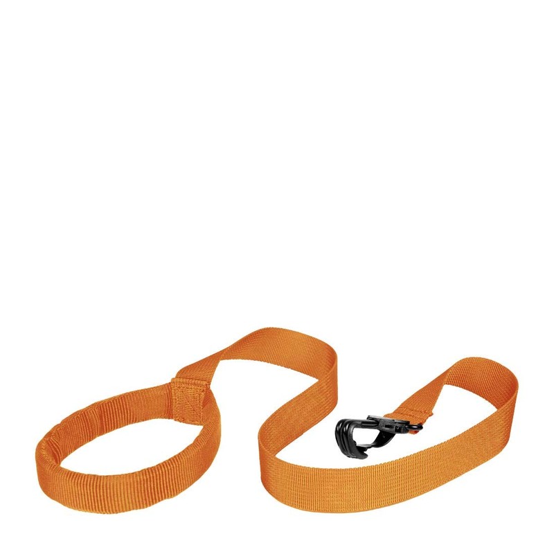 LittleLife Child & Toddler Safety Walking Harness & Reins, Lion