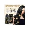 2 Pzs Shampoo Con Tinte Cubre Canas Extracto Plantas