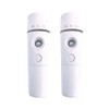 ANX Mobile Mist Facial Beauty Device Handy Mist Ultrasonic Nano