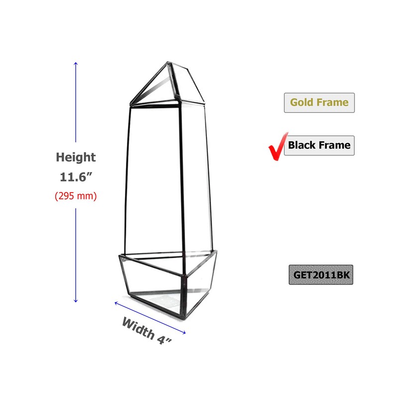 WGV Geometric Terrarium, Width 4", Height 11.5", Clear DIY Succulent