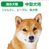 ペティオ (Petio) 犬用おもちゃ 歯みがきロープ 中型犬用 M サイズ