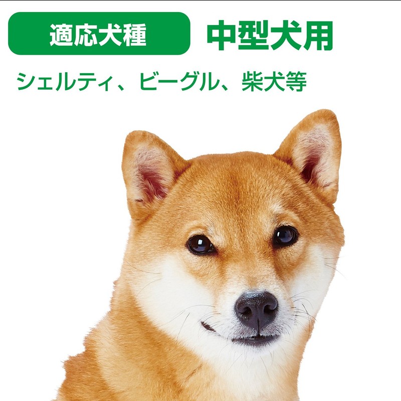 ペティオ (Petio) 犬用おもちゃ 歯みがきロープ 中型犬用 M サイズ
