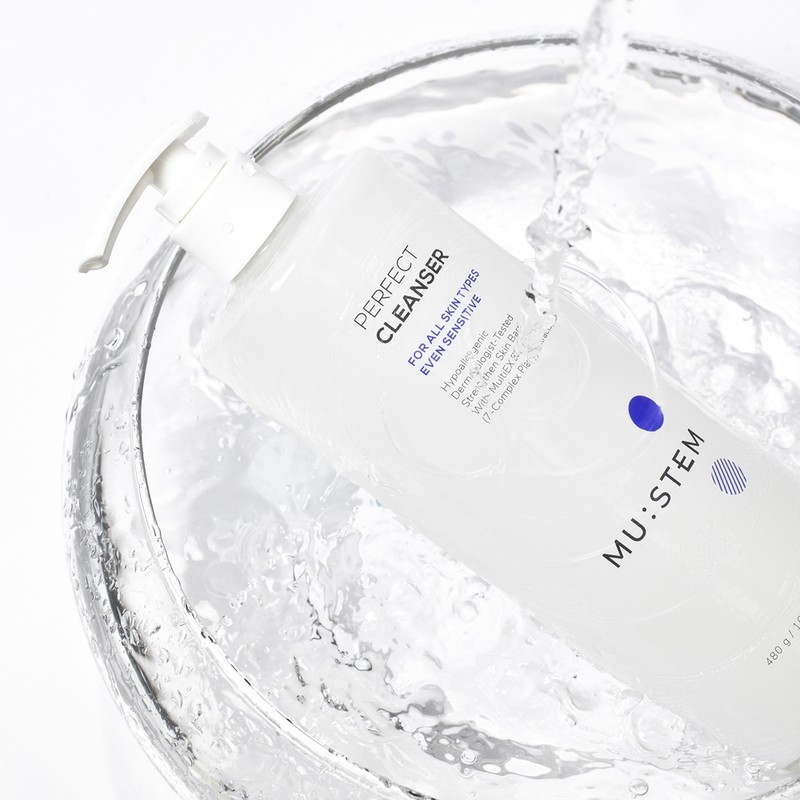Mustem Perfect Gel Cleanser 480g / 뮤스템 퍼펙트 젤 클렌저