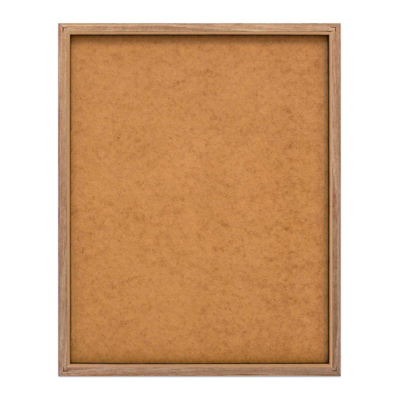 REINDERS Eucalyptus Framed Picture - MDF - 40 x 50