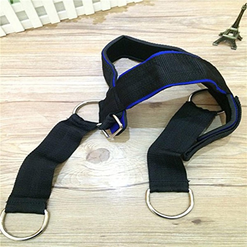 Fitness Neck Harness for Weight Training, Long Steel Chain and