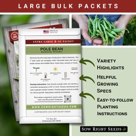 Sow Right Seeds - Bulk Kentucky Wonder Pole Bean Seeds for Planting - 2 Ounce, 170 Seeds - Non-GMO Heirloom Jumbo Pack with Instructions to Plant a Home Vegetable Garden - Bountiful Harvest of Beans