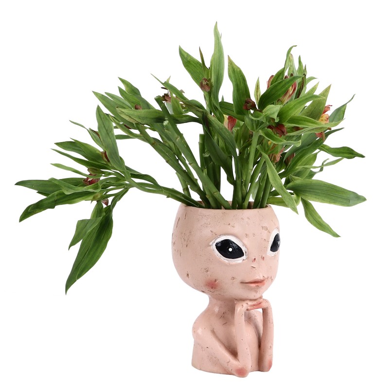Head Planter Resin Unique Succulent Flower Pot Open Eyed Alien