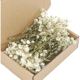 Flor de Gypsophila preservada de Aspecto Natural para Ramos y decoración de Habitaciones, centros de, Accesorios, decoración de Bodas, Flores secas