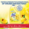 Lysol Multi-Surface Cleaner, Sanitizing and Disinfecting Pour, To Clean and