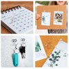 260 Pcs Push Pins Set 5 Styles Clear Thumb Tacks