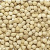 Solo Therapy Moringa Seeds Kernel Shelled Clean - PKM1, Edible,