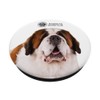 AKC Saint Bernard Photo PopSocket