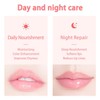 6 PCS Bee Lip Balm Honey Pot, Strawberry & Watermelon