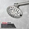 Double Shower Head for Couples, Brushed Nickel