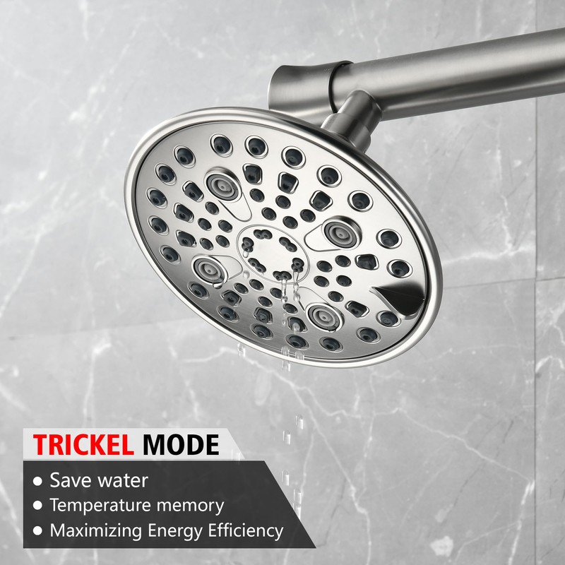 Double Shower Head for Couples, Brushed Nickel