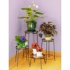 Achla FB-30 Designs Argyle Plant Stand I, 8" H, Graphite
