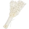 KANEYA K-1462 Basketball Net Test (Set of 2)
