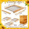 DoubleFill 3 Pcs 10 Frame Beehive Screened Bottom Board Dipped