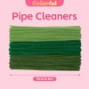 GAGANIU 300pcs Craft Pipe Cleaners, Green Gradient Chenille Stems in