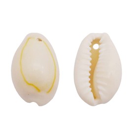 GraceAngie 100pcs Open Back Natural Spiral Shell Beads Smooth Cut Oval Seashells Beach Seashells Cowrie Shells Charm Beads with Hole for DIY Craft Jewelry Making, Vase Filler Fish Tank Home Decor, 0.6"-1"