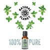 Natural Planet Spanish Thyme Essential Oil 15ML Natural 100% Pure