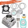 labwork Cylinder Top End Kit Gasket Kit Replacement for Honda