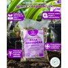 SUSTRATO PARA ORQUÍDEAS