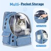 pawstrip Cat Backpack Carrier Transparent Pet Travel Carrier Airline Approved