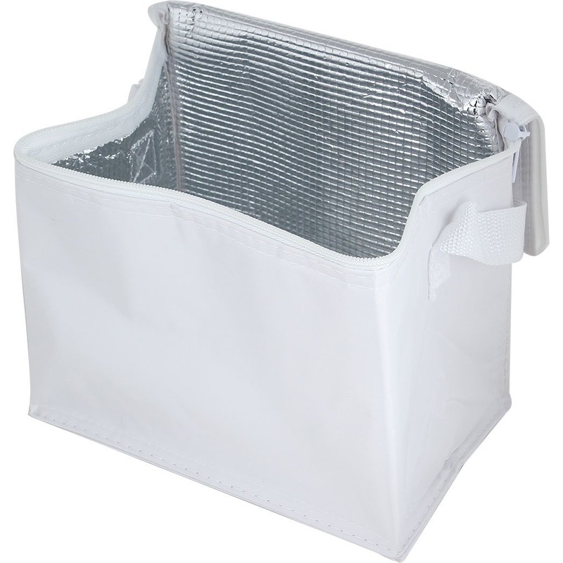 Thermal Insulated Portable Cool Canvas Stripe Lunch Picnic Totes Carry