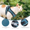 Ankilo Upgraded Harness with Leash Set, Escape Proof Dog Vest