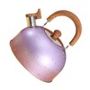 Water Kettle Stainless Steel Whistle Water Kettle Large Capacity Flat