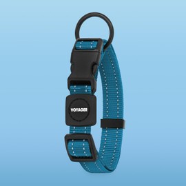 Voyager Reflective Dog Leash Collar Set with Neoprene Handle Supports Small, Medium, and Large Breed Puppies, Cute and Heavy Duty for Walking, Running, and Training - Turquoise, S