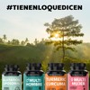 Beyond Vitamins | L-Glutation Liposomal Reducido | Potenciado con L-Glutamina,