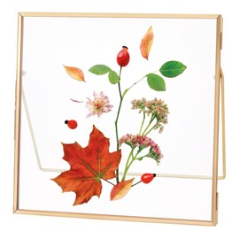 UNICRAFTALE Golden Glass Pressed Flower Frames Handmade Double Glass Frames Tabletop Photo Frame Rectangle Metal Floating Pictures Frame for Home Office Plant Specimen 20x20cm